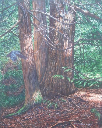 Cedars and Fir