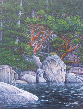 Clark's Point