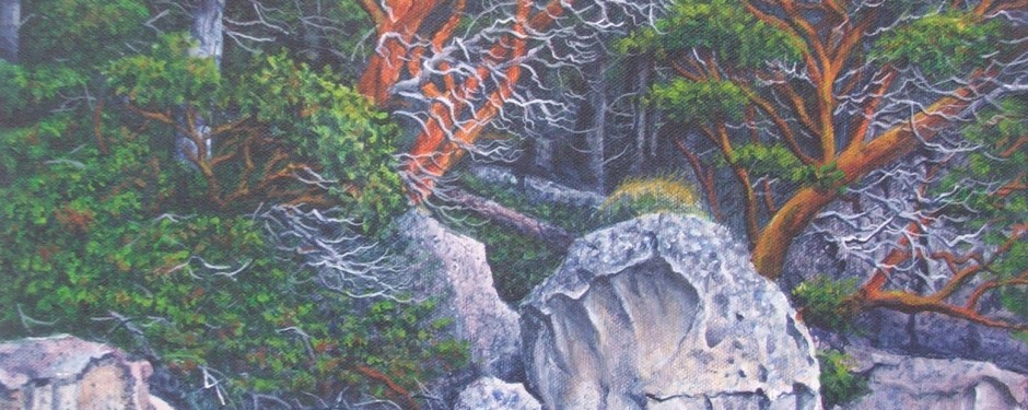 Clark's Point