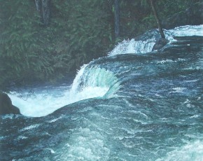 Full Flood