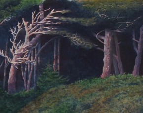 Klaloch Trees