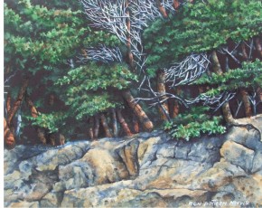 Madrona Cliffs