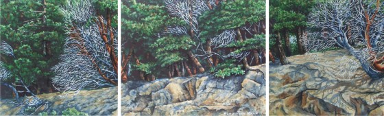 Madrona Cliffs