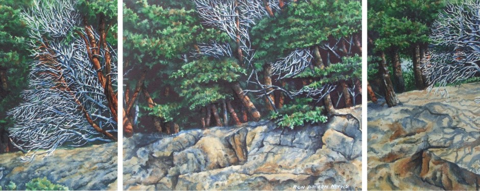 Madrona Cliffs