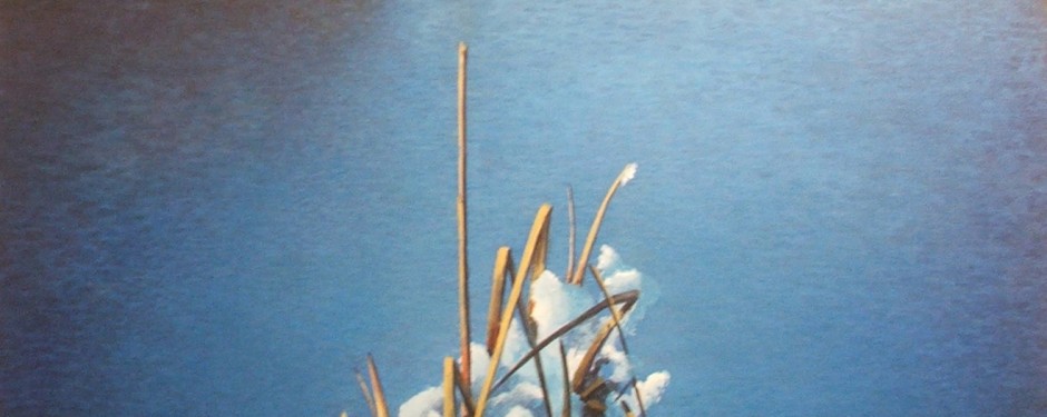 New Ice
