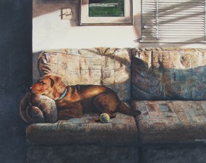 Saturday Morning