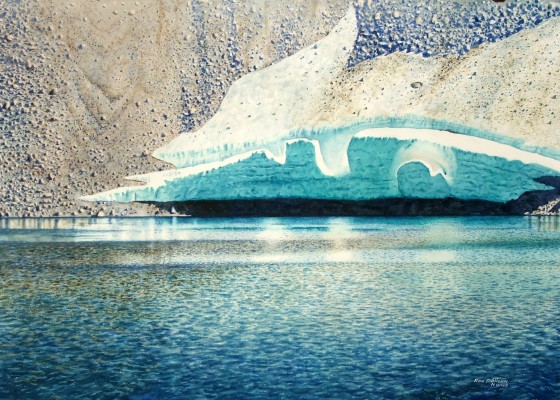Snow Bank