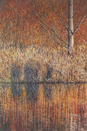 Winter Reflections