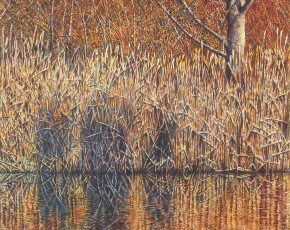Winter Reflections