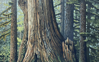Big Cedar